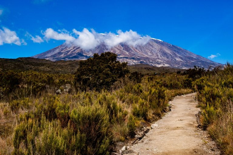 Zelf de kilimanjaro beklimmen